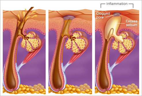 Skin - Hair - Beauty