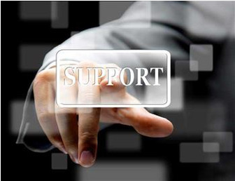 Online support